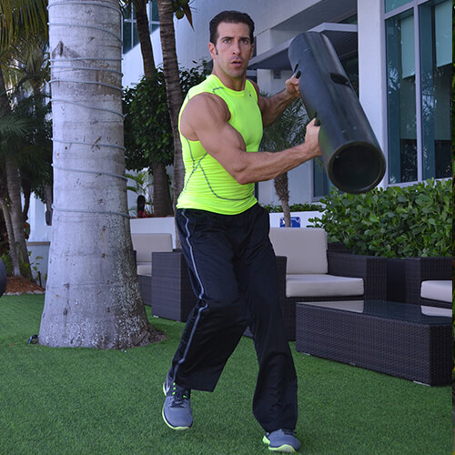 ViPR Global Ambassador